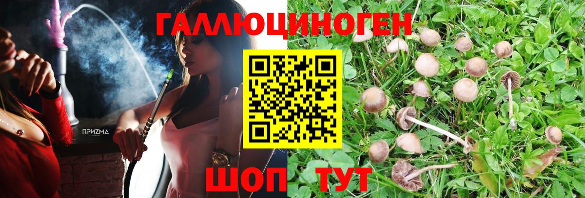 Псилоцибиновые грибы MAGIC MUSHROOMS  Вход с VPN  купить наркотик  Нягань 